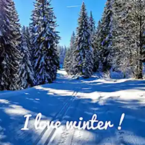 Skis à la Féclaz gîte le Petit Gust