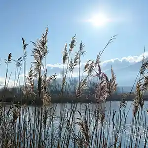 Promenade au Bourget-du-lac